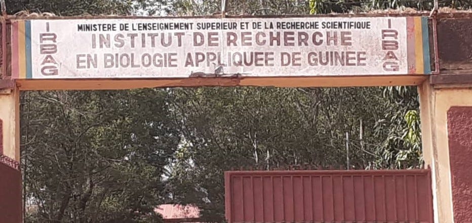 Guinée — Wikipédia
