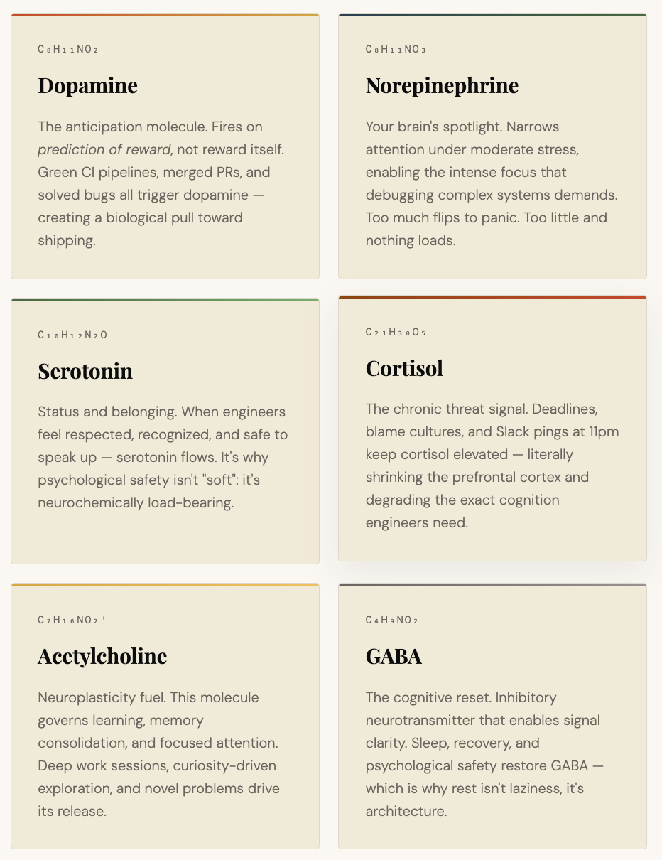 The Neuroscience Behind Developer Productivity