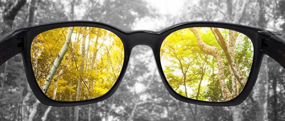 The Perception Glasses. Look at the world with other people' s… | by  Gianfranco Vigneri | Woodworkers of the World Unite!!! | Medium