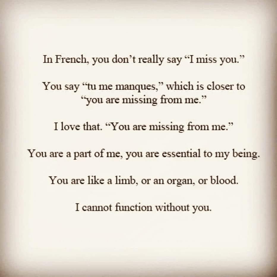 The depth of our language and the betrayal of translation | by