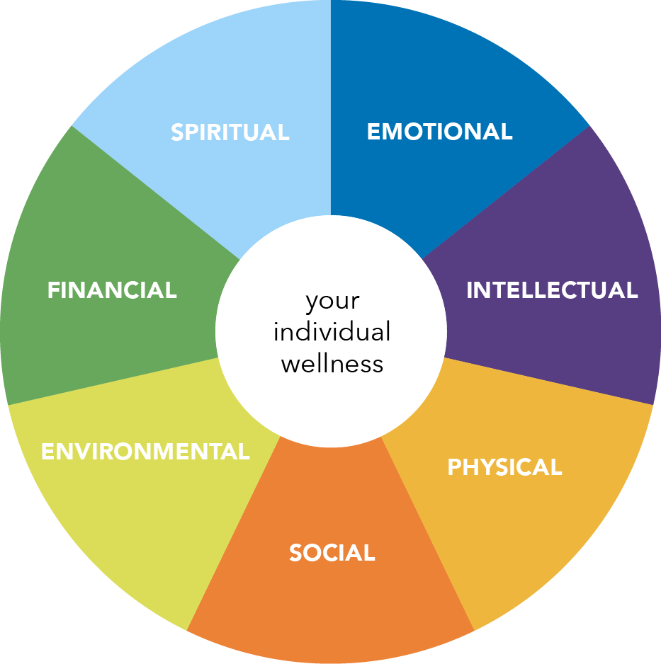 Factors That Affect Your Fitness Health And Wellness Are Called 7 Dimensions of Wellness. Amazing disciplines that will make⦠| by