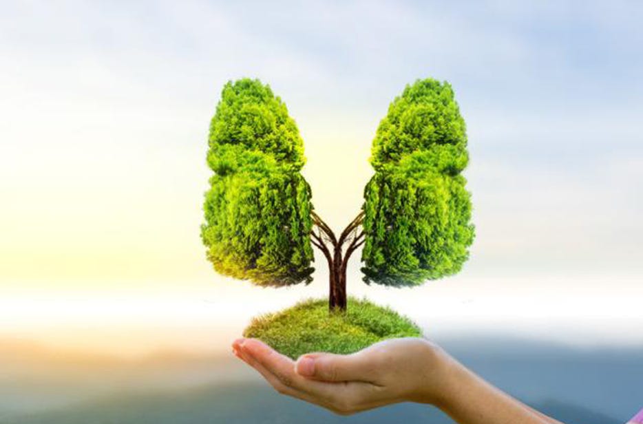 TeloPro：The Hidden Biology of Aging — And the Telomere Science You Were Never Told About