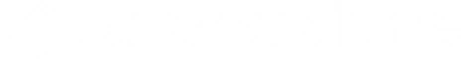 Alpha Dune Network
