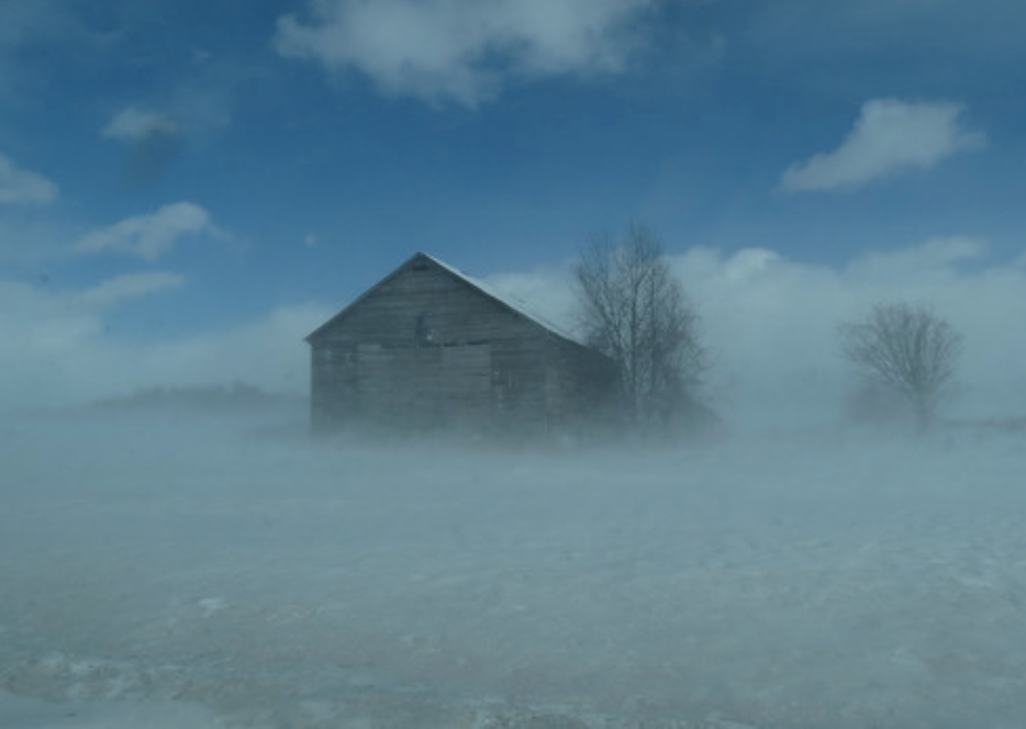 Photography by Dawn Ulmer, the author