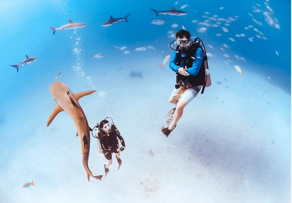 Cape Eleuthera Resort: A Land-Based Anchor for Bahamas Group Travel by Brittany Brown