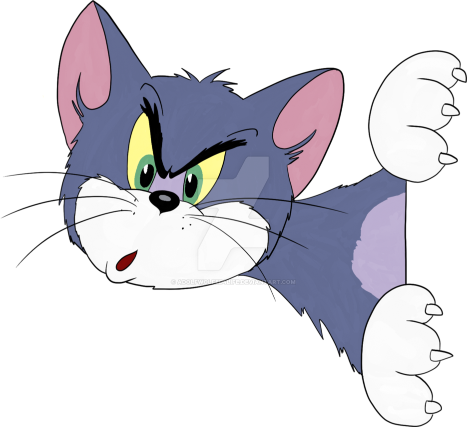 Building with Tomcat: Guide to Java Servlet Containers | by Nadun ...