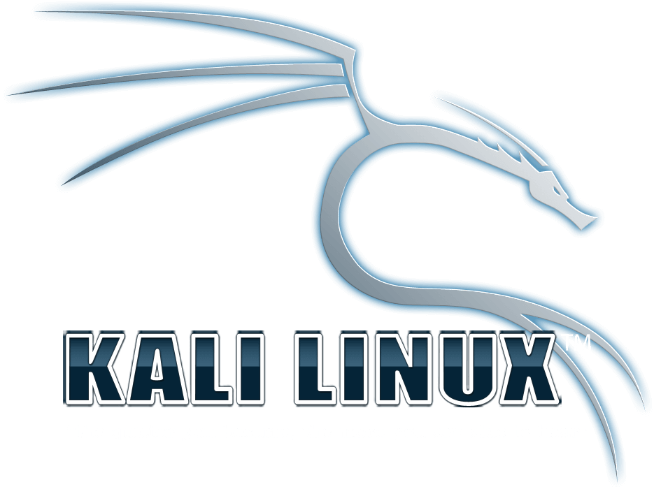 Autonomi metrisk stum Creating Kali Linux Live USB with Persistence, a simple guide | by Fatah  Nur Alam Majid | Medium