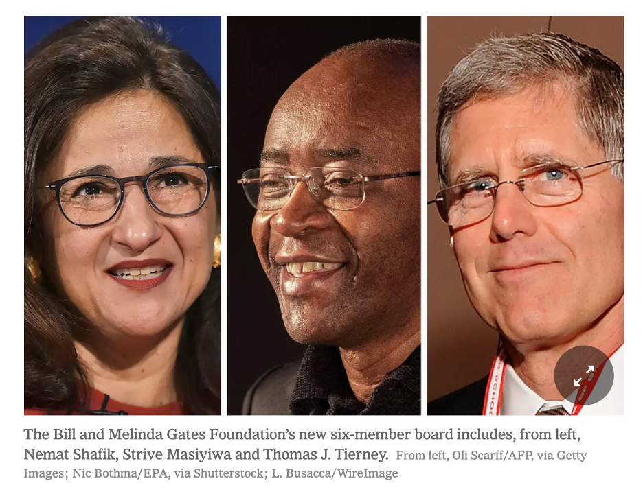 The Bill and Melinda Gates Foundation has Decolonised Global Health with New Diverse Board Members