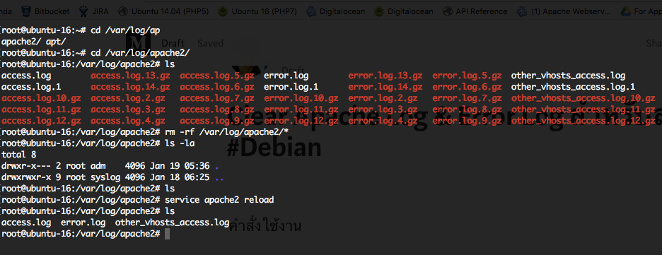 Clear Apache Log & Error Log สำหรับสาวก #Debian | by Krucamper | Medium