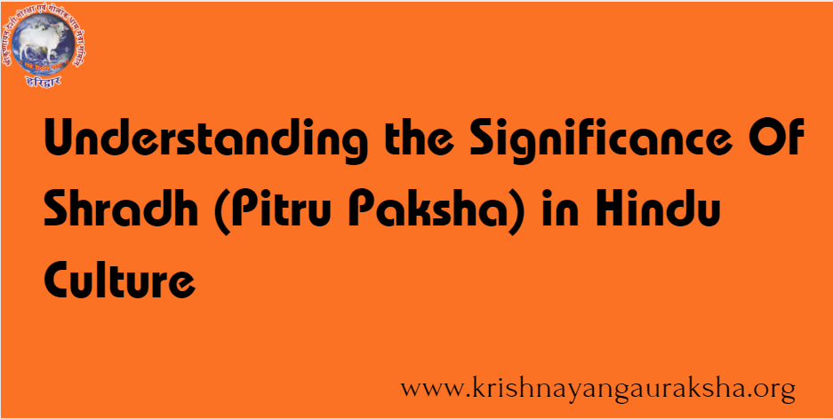 Understanding the Significance of Shradh (Pitru Paksha) in Hindu Culture