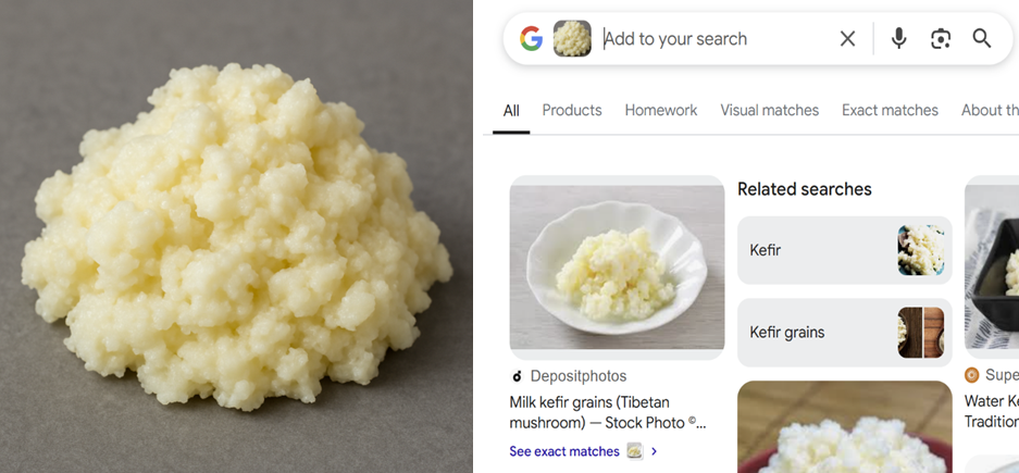 Figure 1. Image of “cholesterol” generated by DALL-E (left), which Google thinks is kefir grains (right).