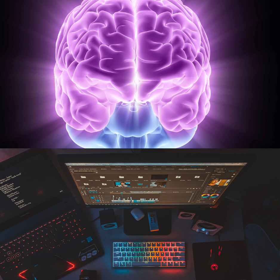 Anatomy Of A Computer System With Diagram Diagram Computer B