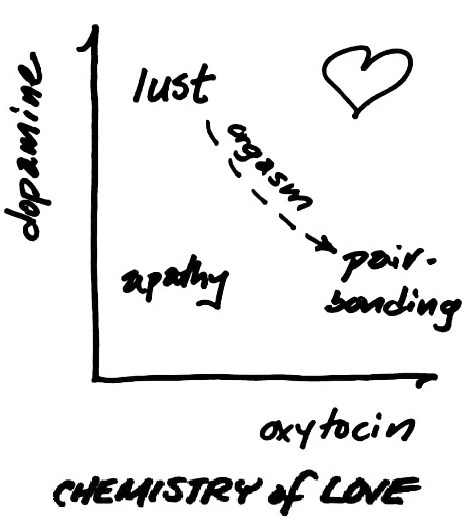 Love Games. Neurochemistry, Evolutionary Biology…, by Thomas P Seager, PhD, StoryGarden