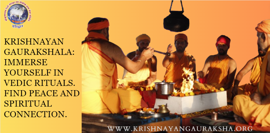Reviving Sacred Traditions: Vedic Rituals at the Banks of Maa Ganga