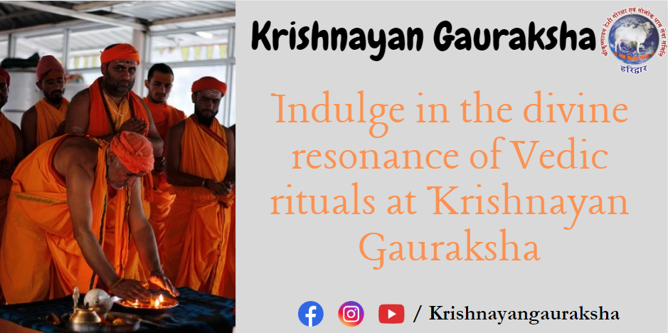 Experience Sacred Blessings at the Banks of Maa Ganga with Vedic Rituals