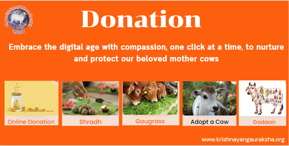 Embracing Compassion: Nurturing Mother Cows Through Online Initiatives