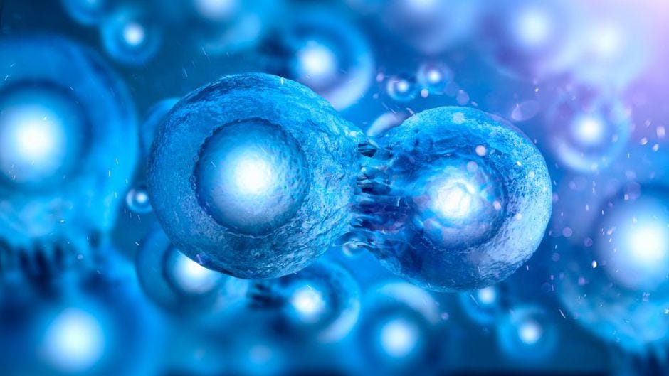 9 Things That You Should Know About Stem Cells by Tom Clark Medium