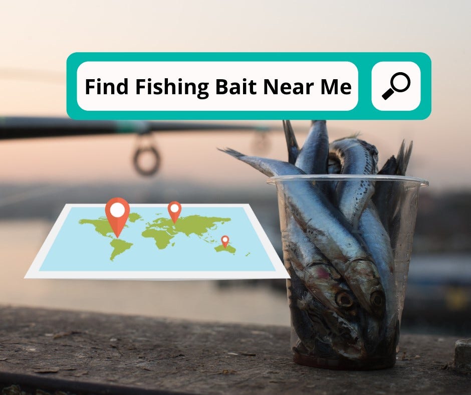 Choosing Fishing Bait, by Eosty 🔹