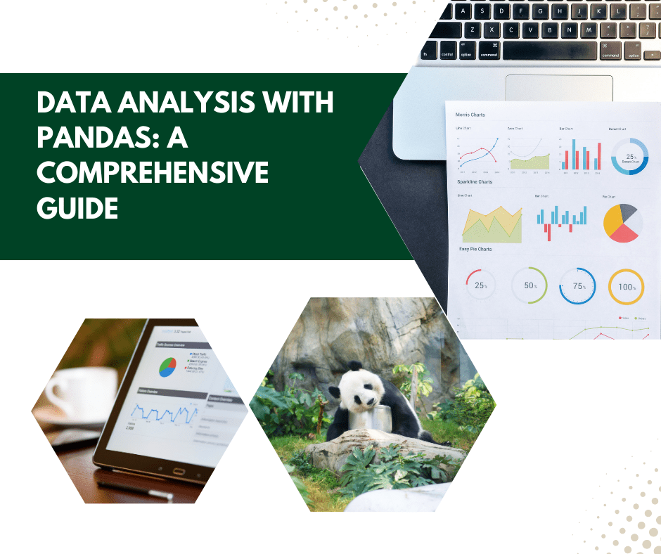Data Analysis with Pandas: A Comprehensive Guide - | by Ruhiparveen ...