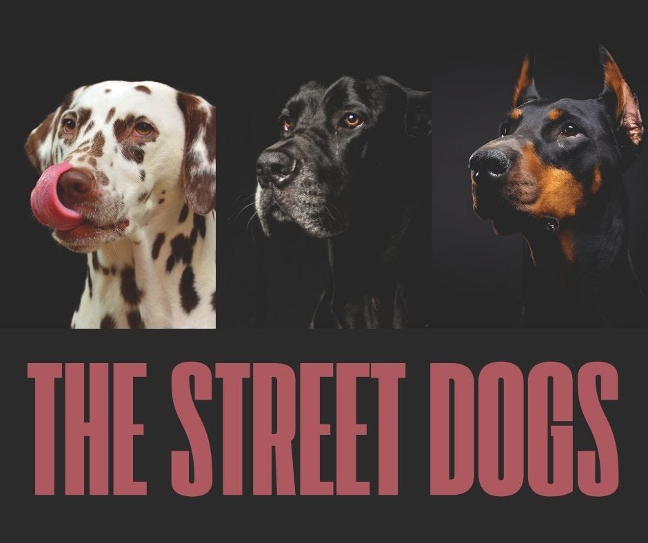 The Street Dogs Nowadays The Number Of Street Dogs Is By Ankit