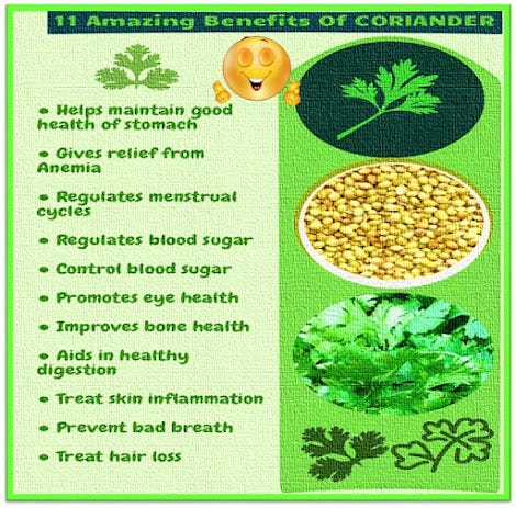 Coriander | Coriander Juice | Medicinal Benefits of Coriander | by Narayan  | Medium