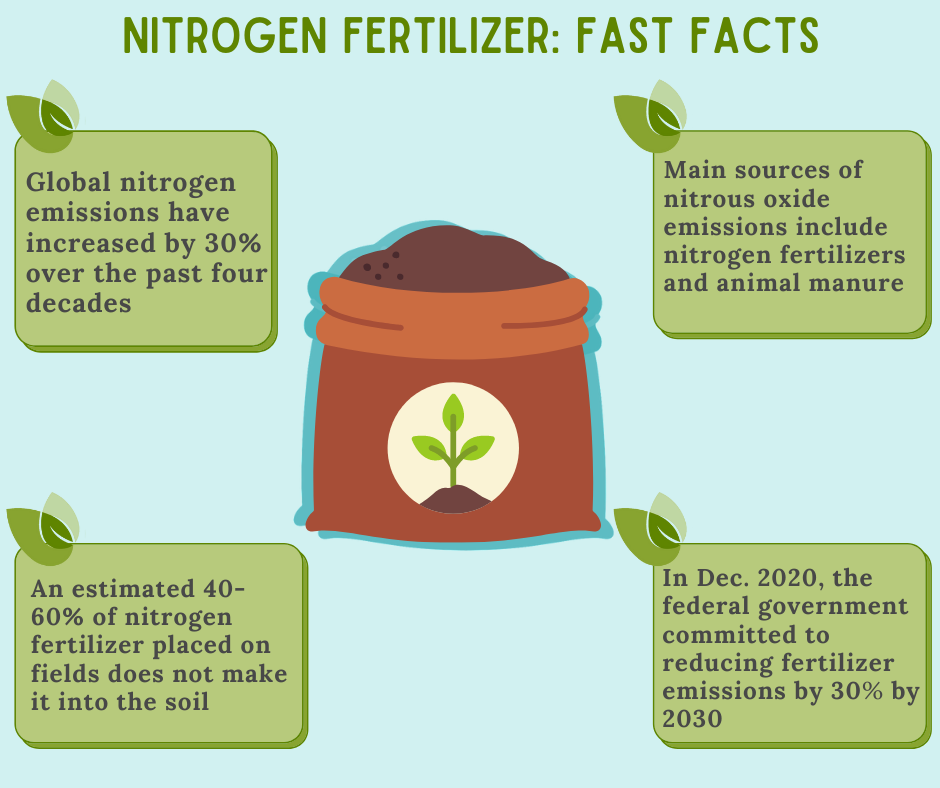Rethinking Nitrogen for Sustainable Agriculture