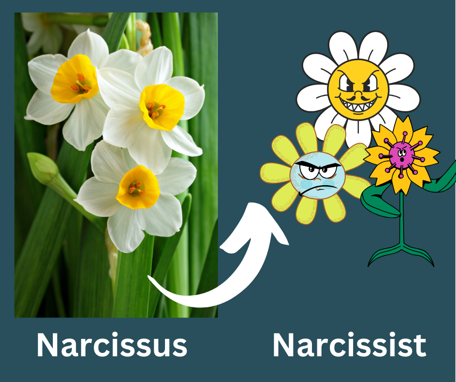 Life as a Narcissist. Maybe a narcissist in recovery | by Michael ...