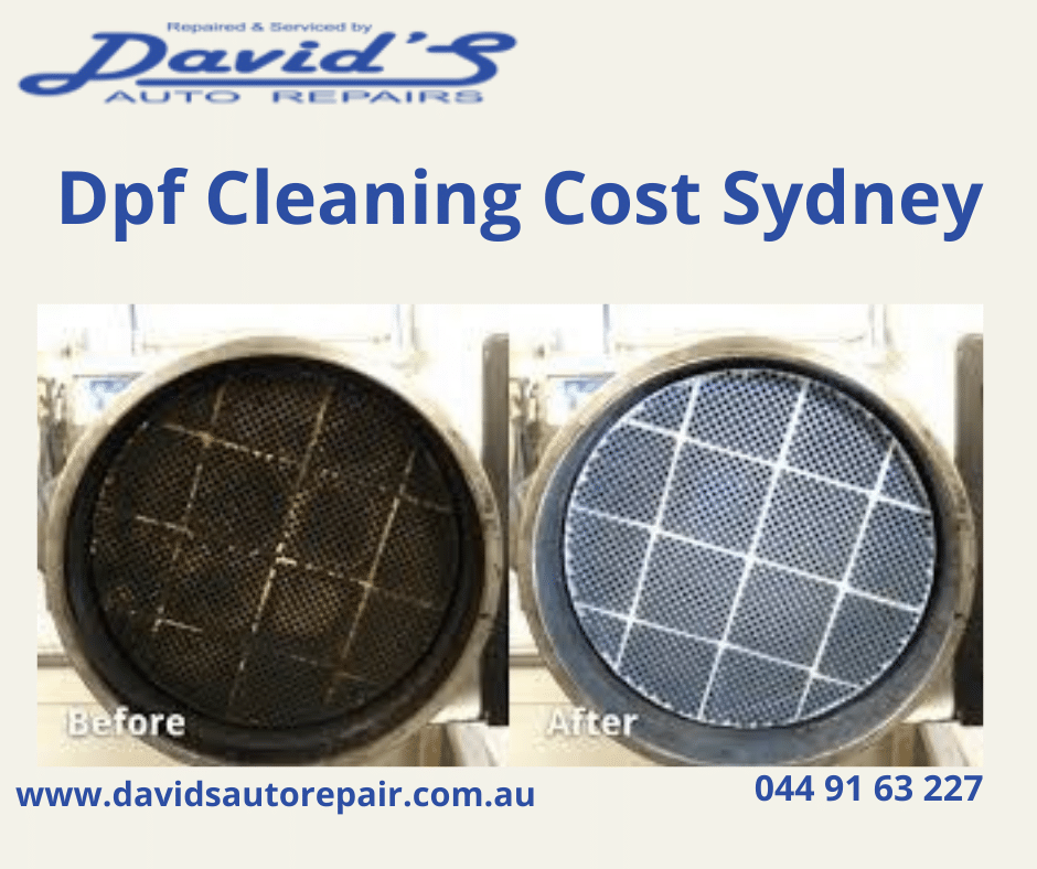 Professional DPF Filter cleaning Services in Wetherill Park by David