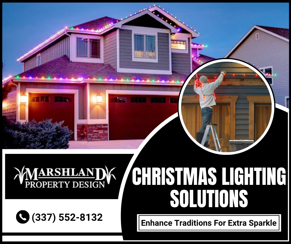 Professional Setup For Festive Lighting