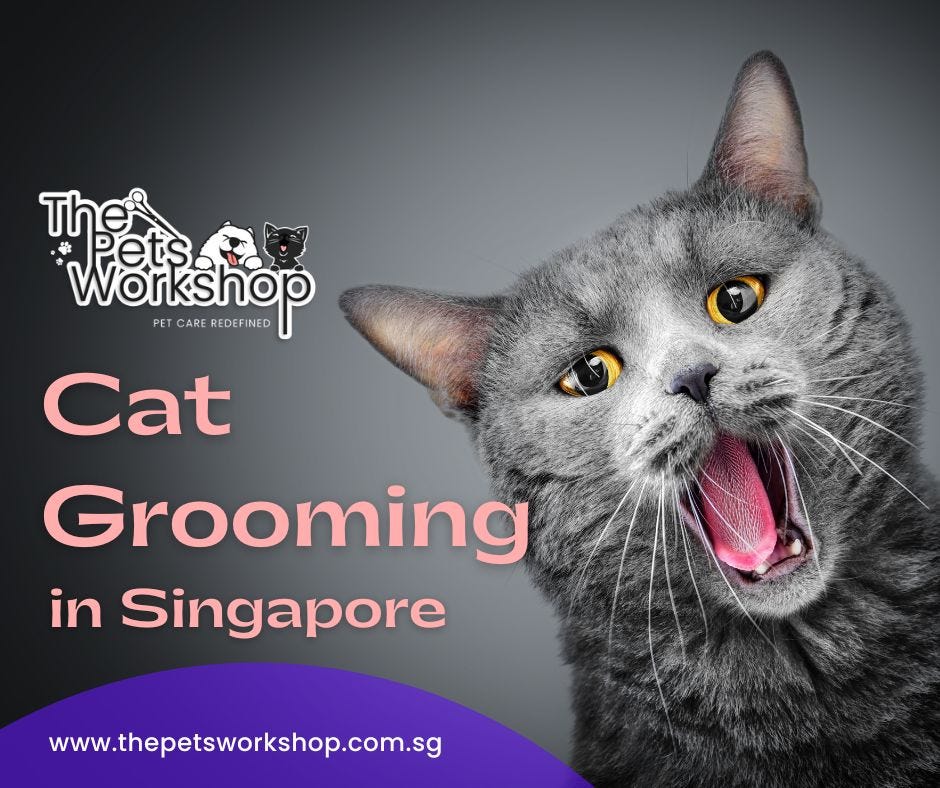 Cat owners understand the significance of grooming their feline friends