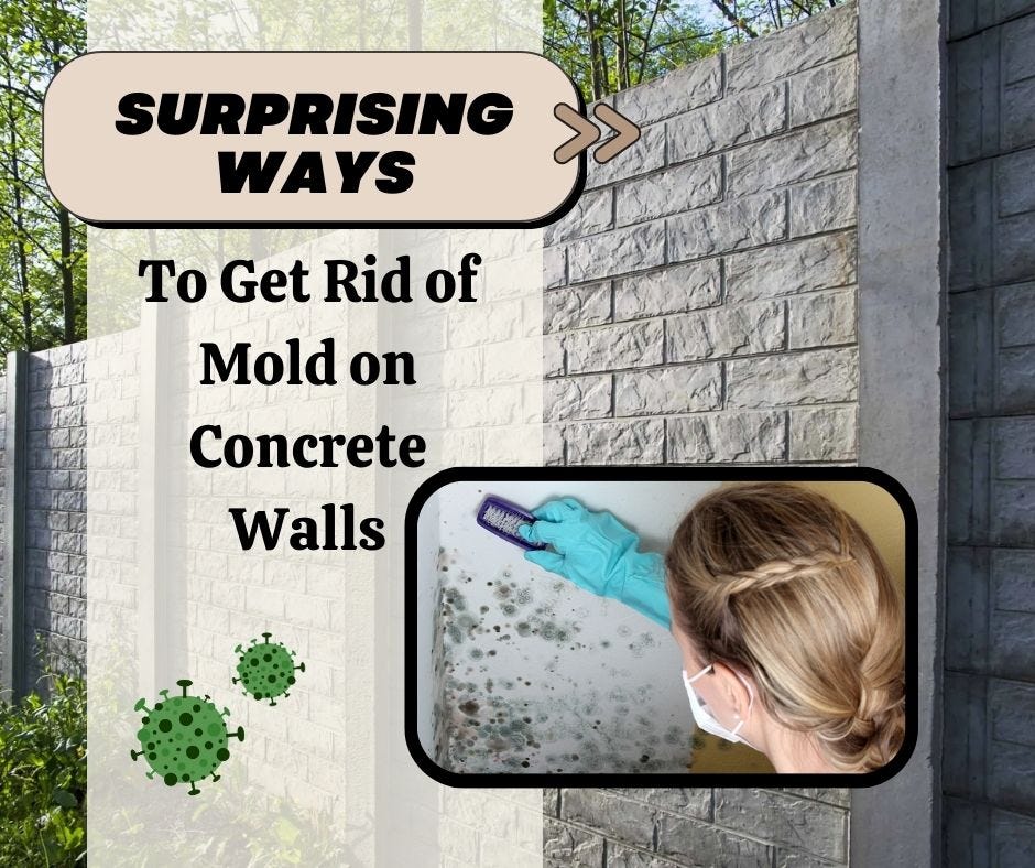 Surprising Ways To Get Rid of Mold on Concrete Walls JM Environmental, Inc. Medium