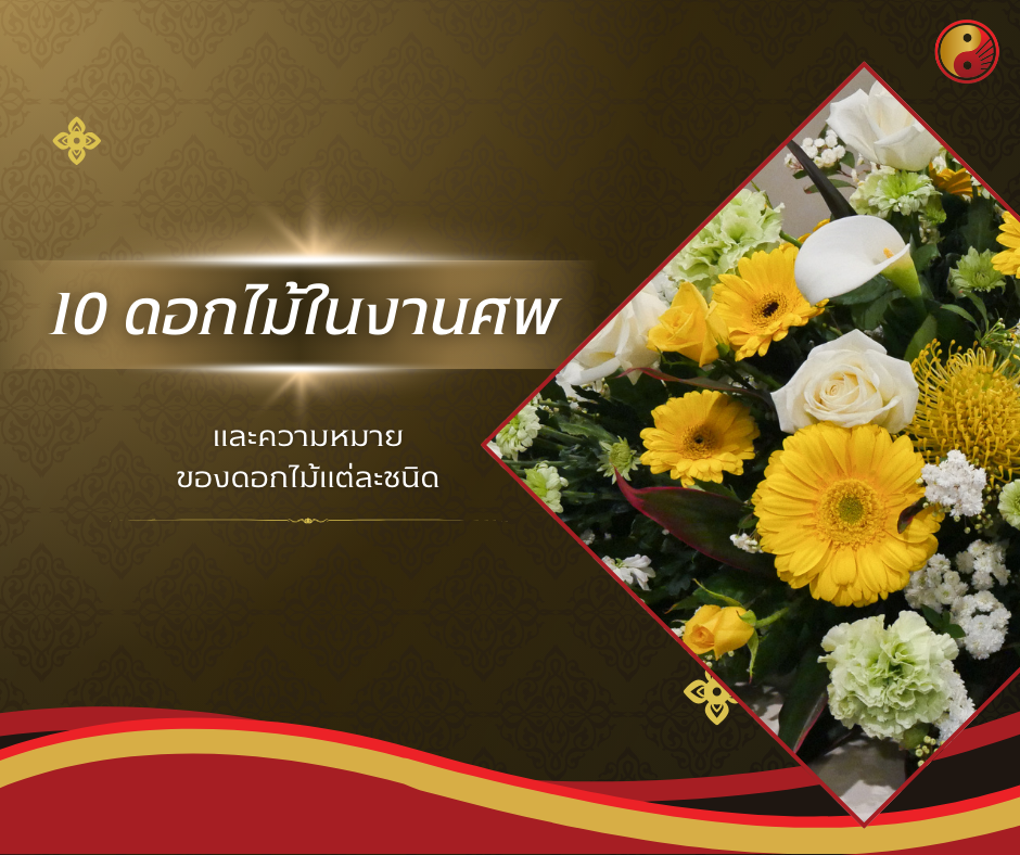 10 ดอกไม้ที่นิยมนำมาใช้ในงานศพ และความหมายแฝง