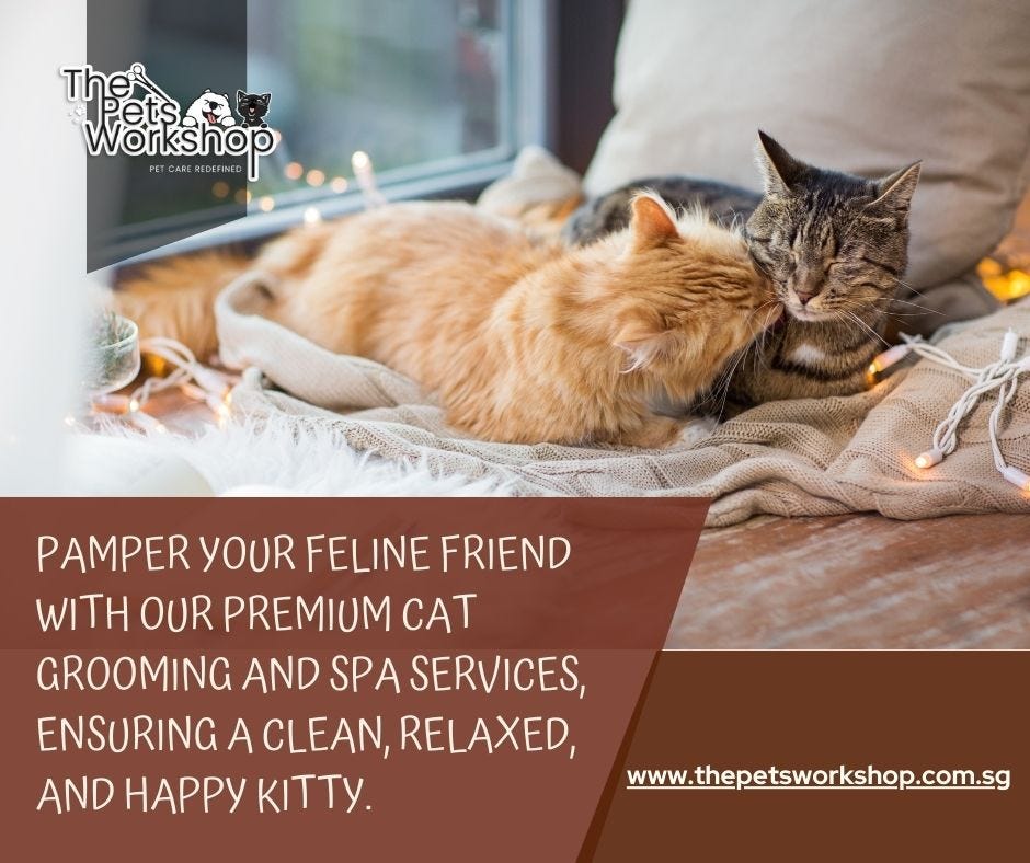 Cat Spa Singapore is an essential part of maintaining your feline’s