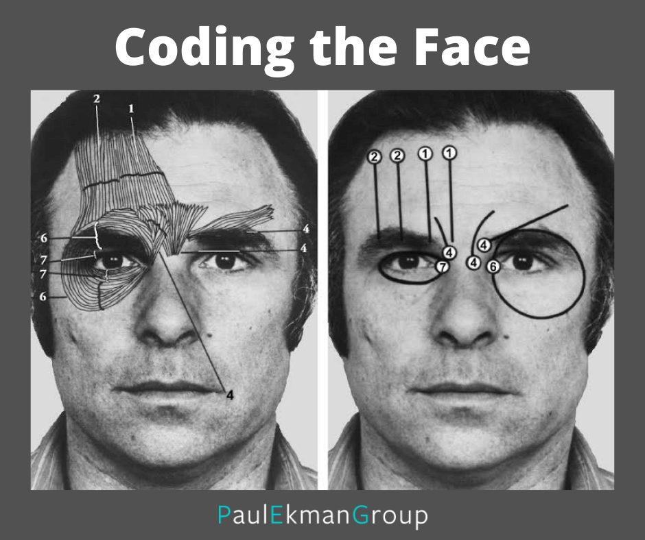 The History of the Facial Action Coding System (FACS) | by Paul Ekman |  Medium