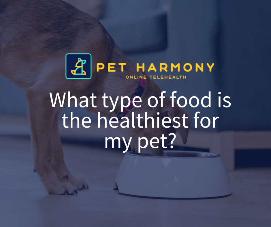 What type of food is the healthiest for my pet? by Pet Harmony Jun, 2023 Medium