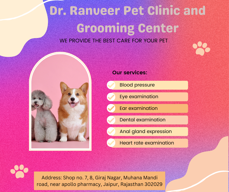 Pet clinic in mansarovar Dr. Ranveer Pet Clinic and Grooming Center
