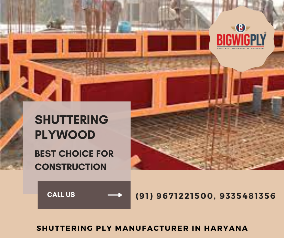 Top 10 Shuttering Plywood Manufacturers Krishnadecoratives Medium