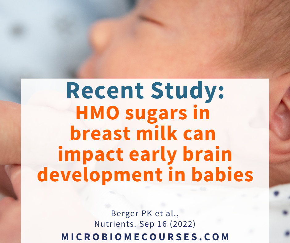 Recent Study: HMO sugars in breast milk may impact early brain development  | by Toni Harman | Mar, 2023 | Medium