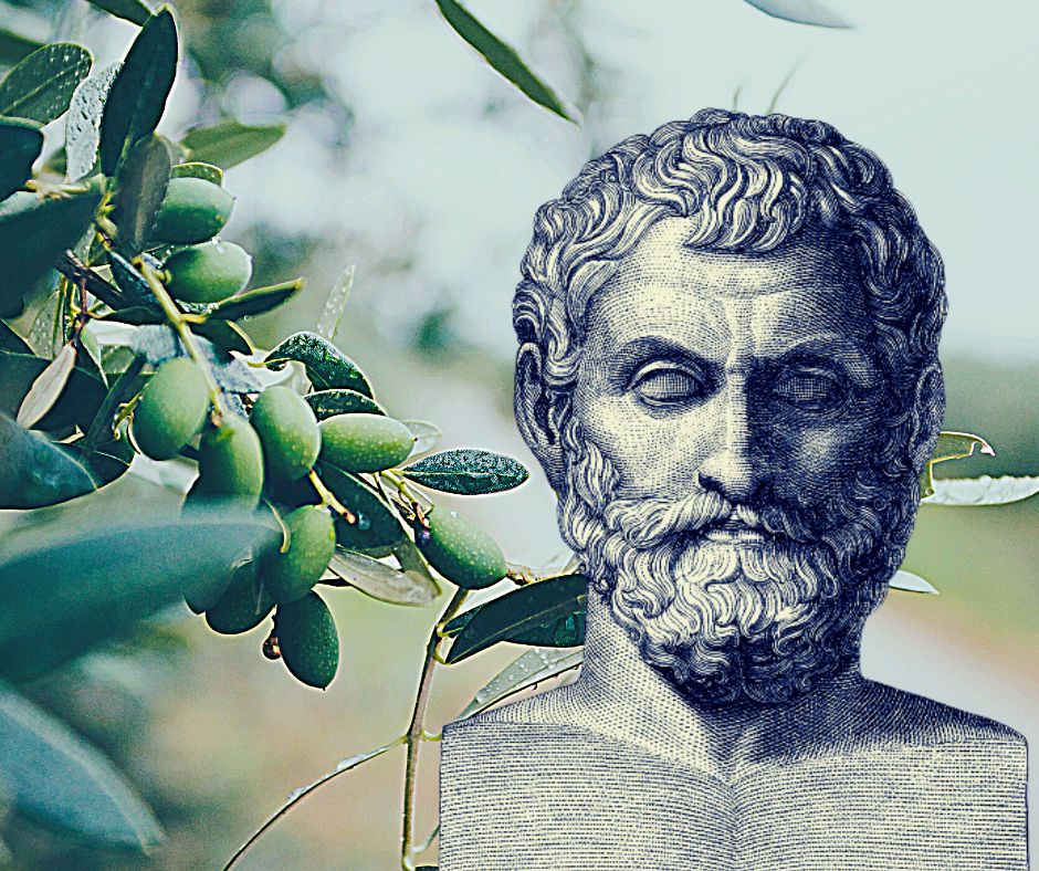 How the Philosopher Thales Became Filthy Rich in the Olive Business: He  Used His Brains, by Maria Milojković, MA, Lessons from History