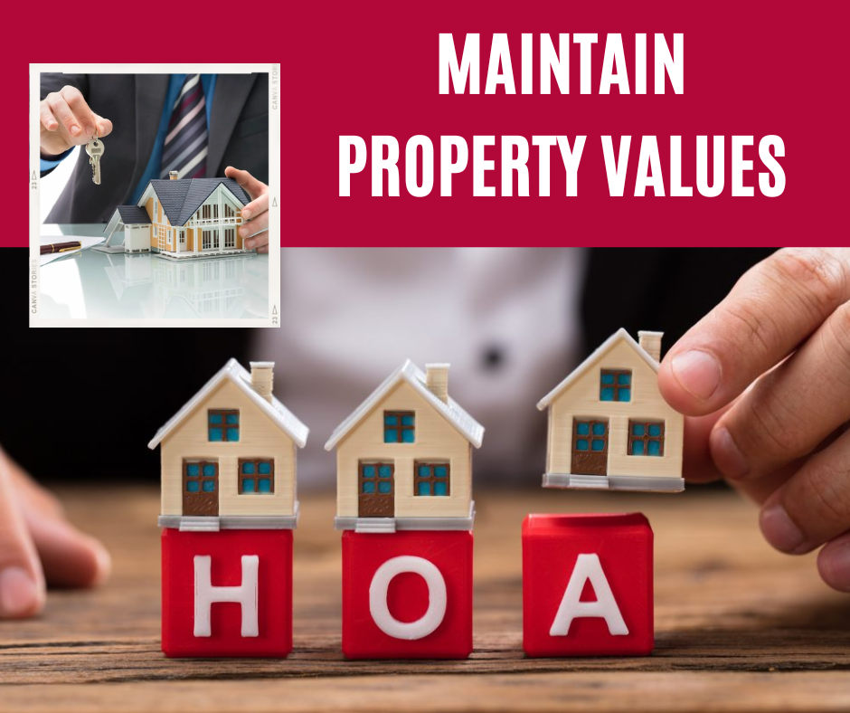 Signs of a Good HOA When House Hunting Adley mamola Medium