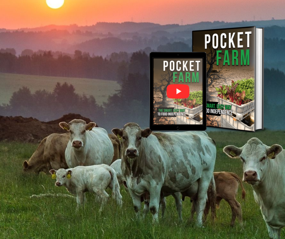Pocket Farm! New Food Offer. Introducing Pocket Farm A Revolution