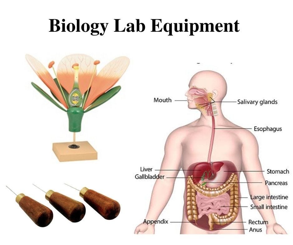 List of Basic Instruments used in Biology Lab - Educational Lab