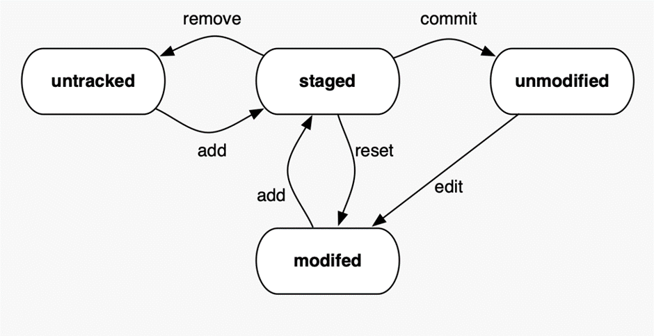 🌟A guide 📚to Git and SUBVERSION | by Haocheng Lin | Aug, 2023 | Medium