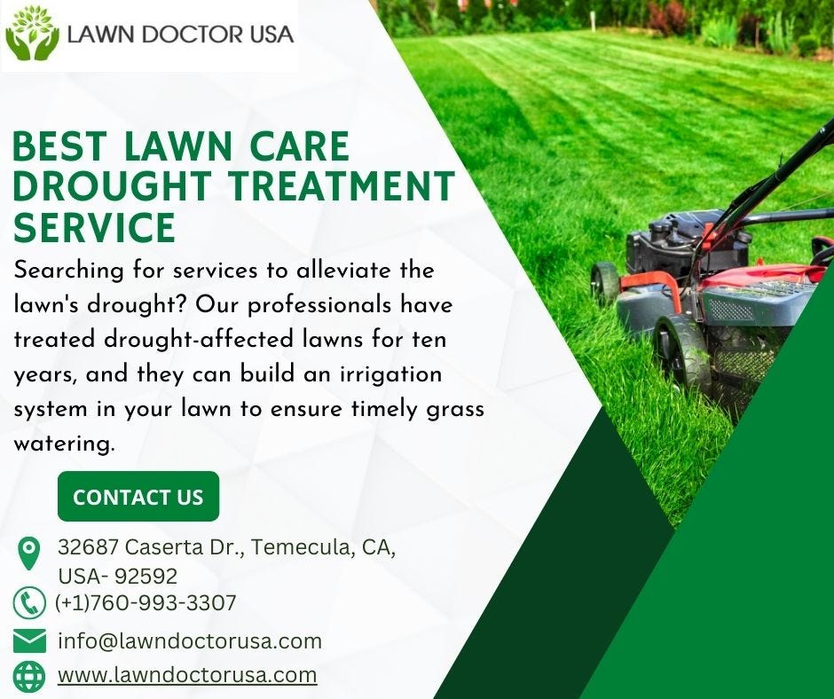 Best Lawn Care Drought Treatment Service Ericedukes Medium