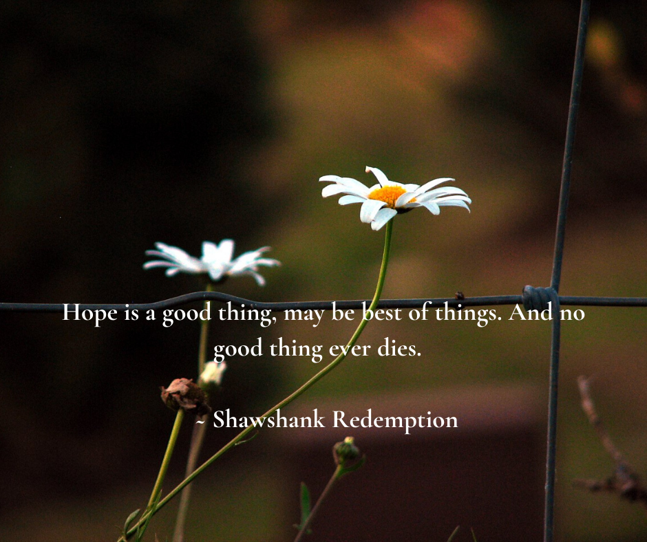 Shawshank Redemption Quotes Hope Is A Good Thing