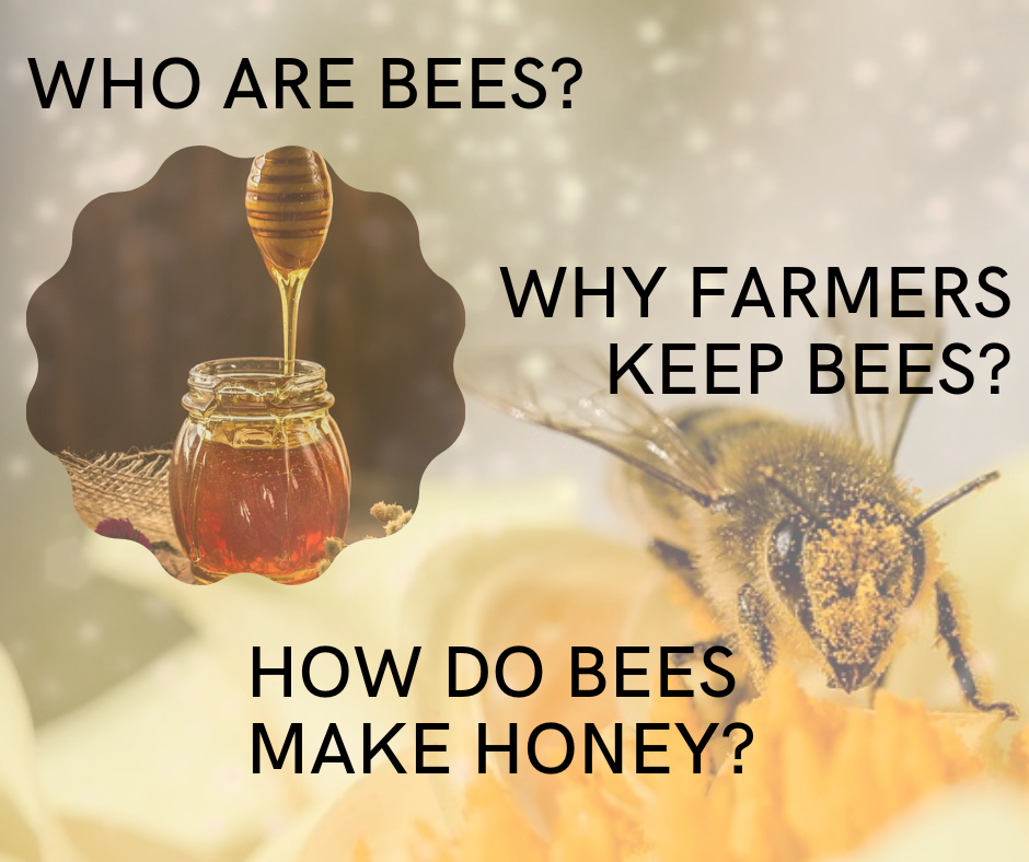 How Do Bees Make Honey?. Bees, tiny insects that is a member of… by