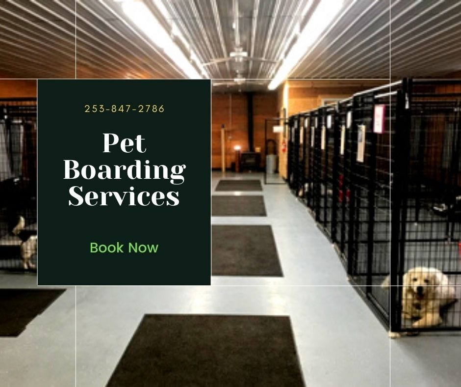 Best Pet Boarding services in Shaggy Shack Pet Resort Medium
