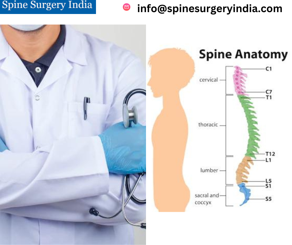 How Can People Find The Best Spine Surgeon In Mumbai For Their Spine