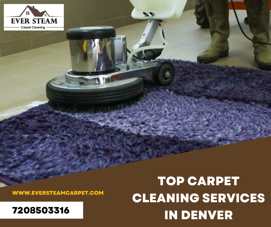 Ever Steam Carpet — Trust the Rug Cleaning Professionals | by Ever Steam  Carpet | Medium