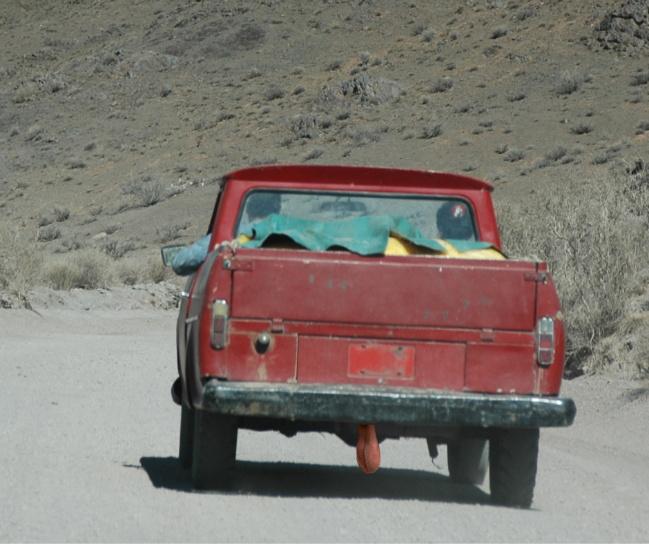 Don’t Put Testicles on the Back of Your Pickup Truck* by NancyO BJ